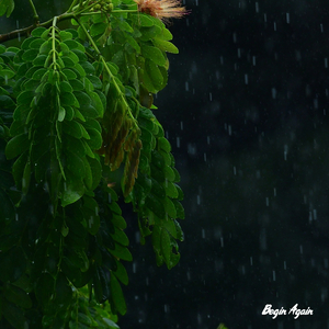 国精品无码一区二区三区四区五区
